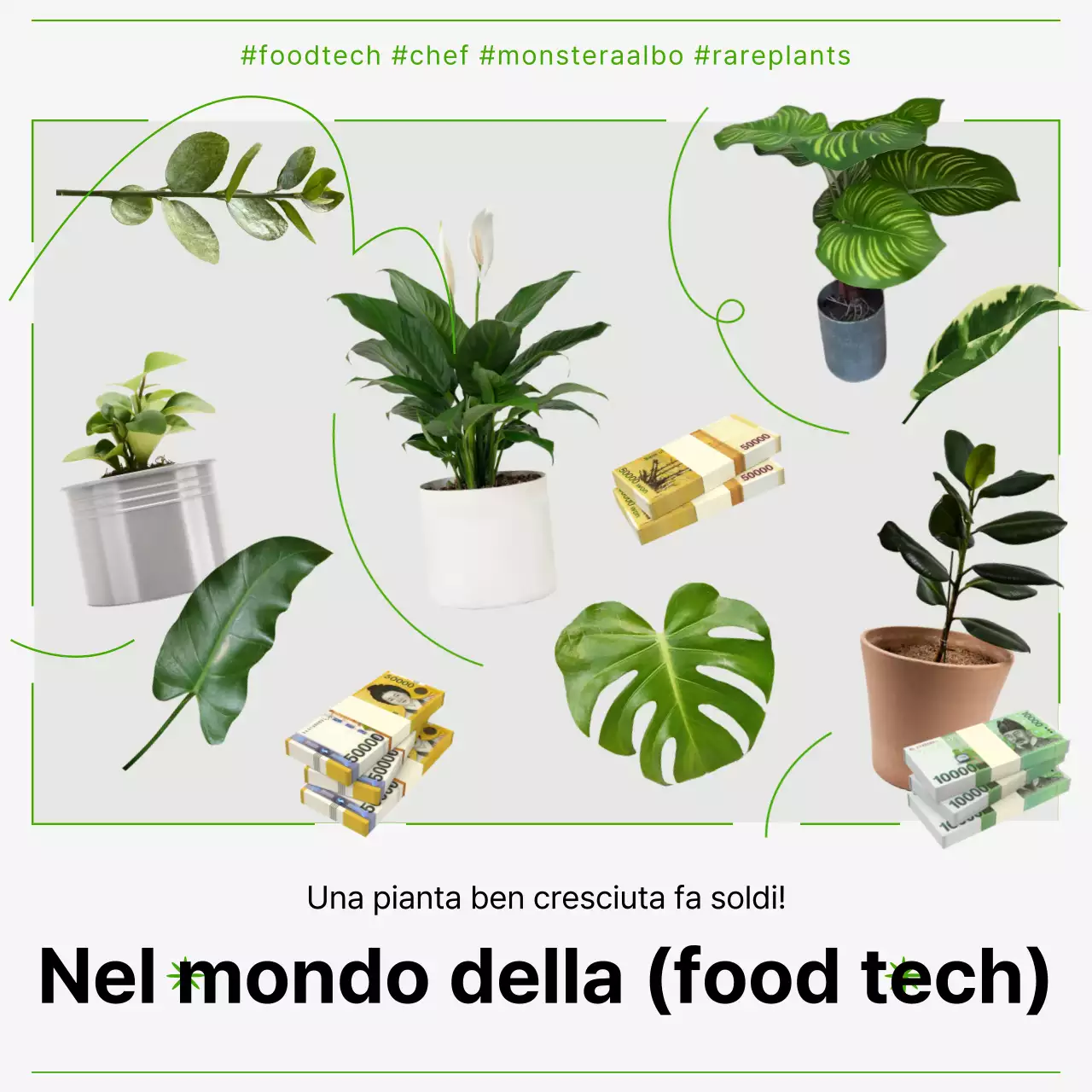 Una guida senza fronzoli alla tecnologia alimentare con una curva verde