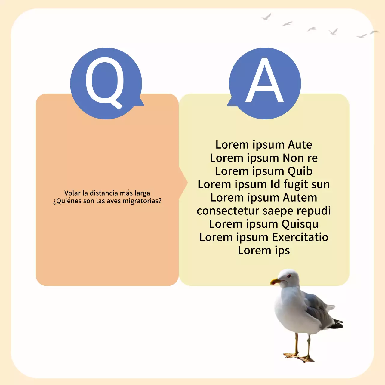 Una sencilla guía de aves migratorias amarilla y naranja