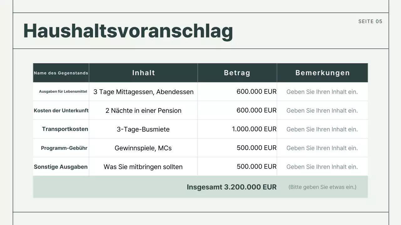 Mint Basic Reports Dokumentation