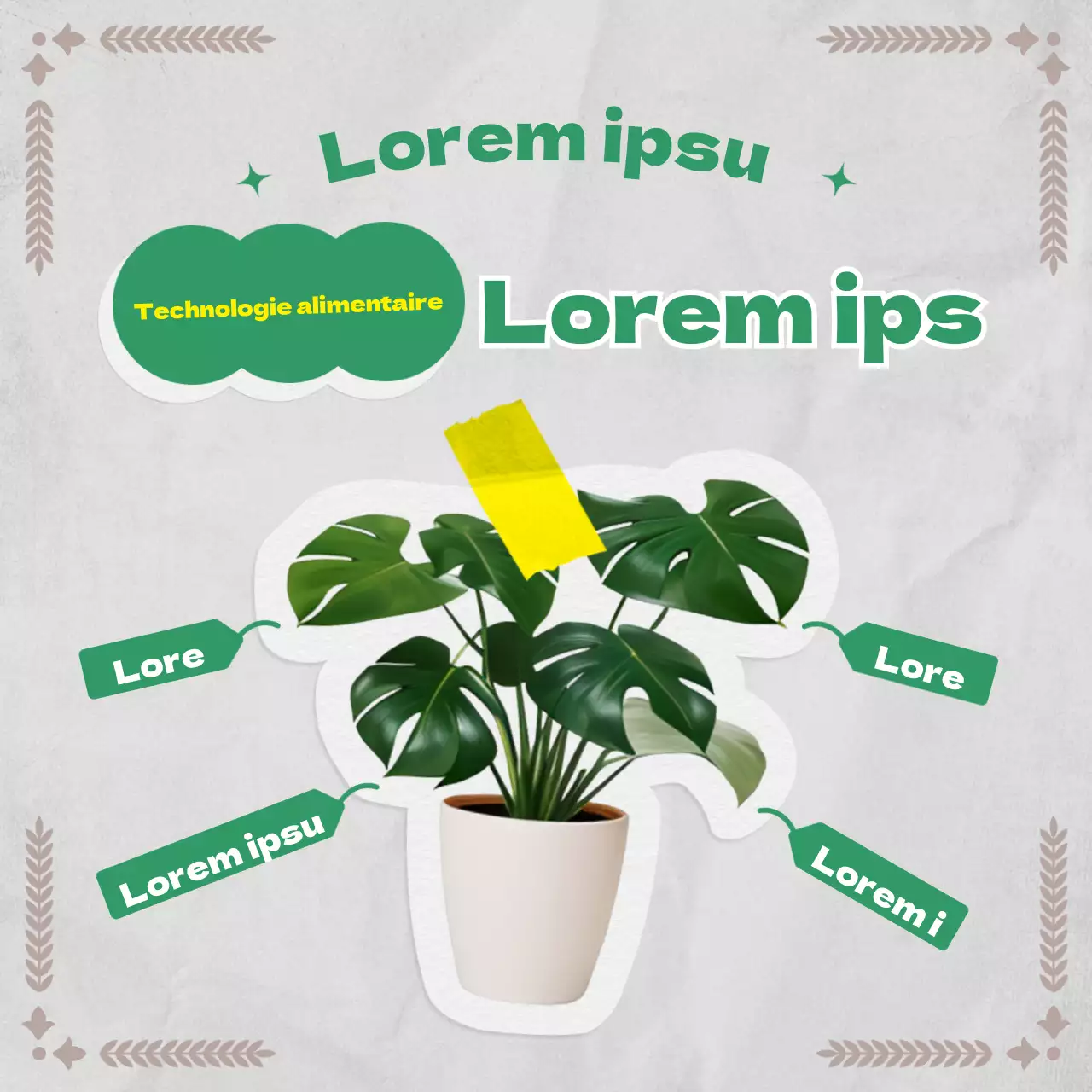 Informations botaniques dans un concept de papier vintage utilisant des verts et des gris