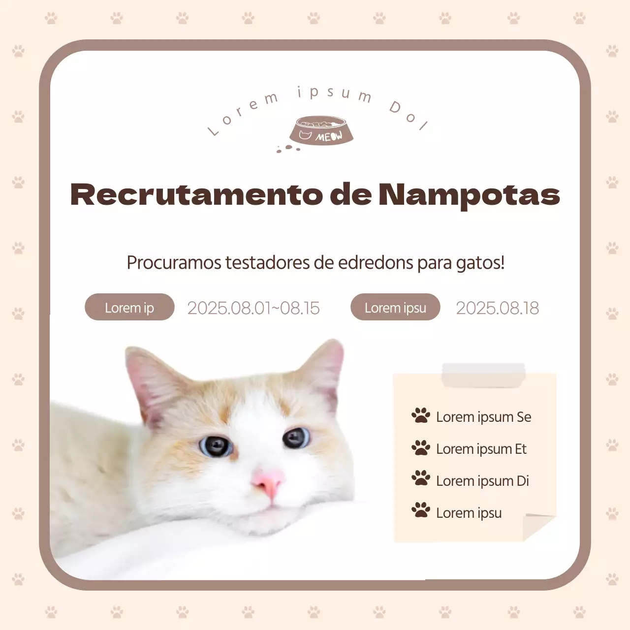 Estamos à procura de testadores para o nosso novo edredão castanho e bege para gatos