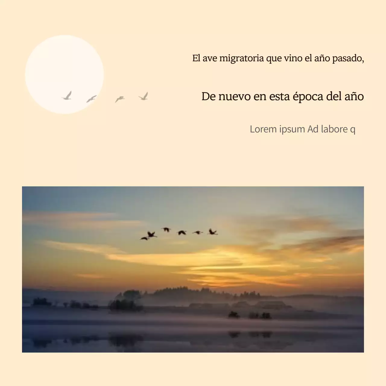 Una sencilla guía de aves migratorias amarilla y naranja