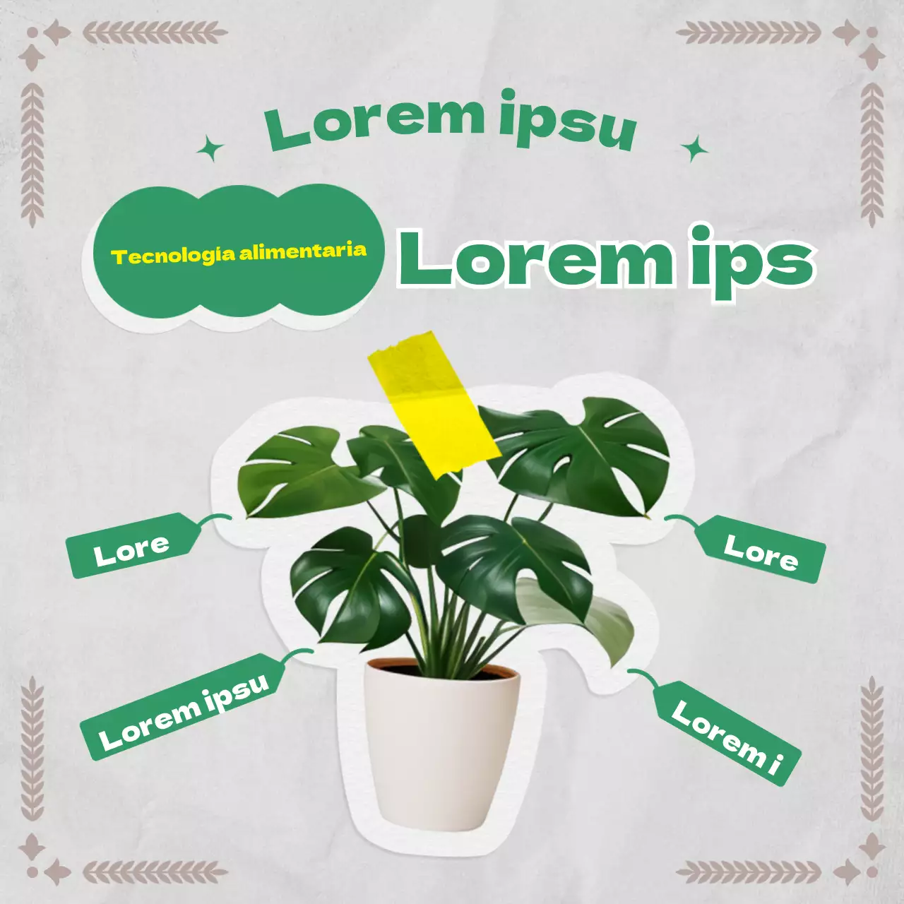 Información botánica en un concepto de papel vintage con verdes y grises