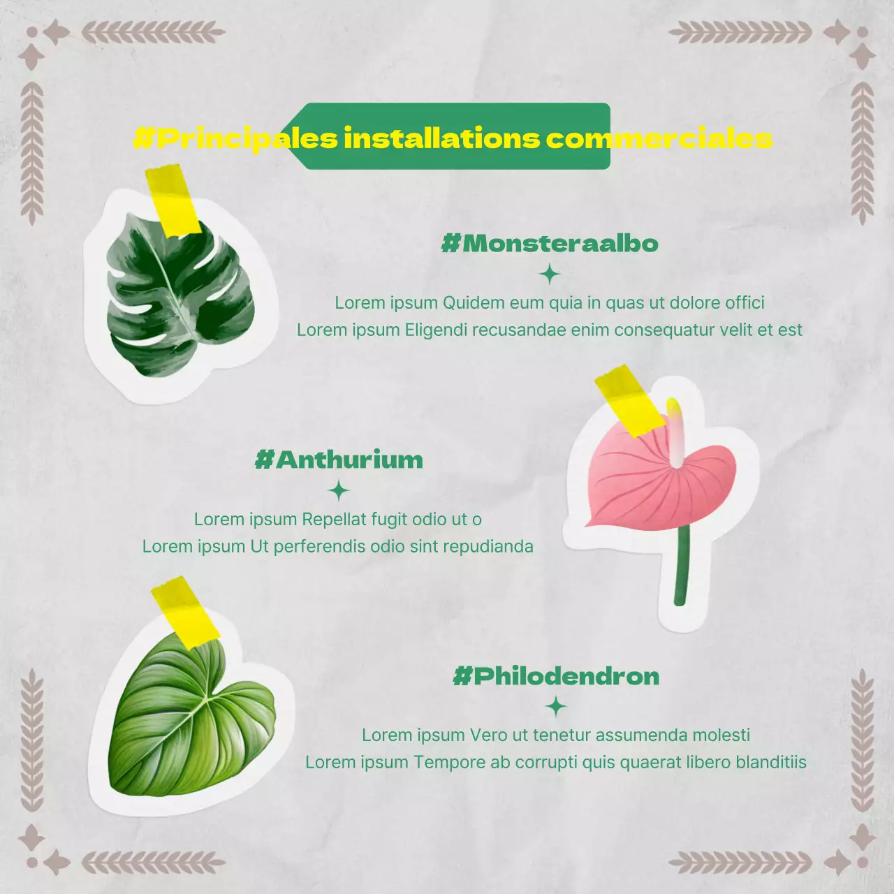 Informations botaniques dans un concept de papier vintage utilisant des verts et des gris