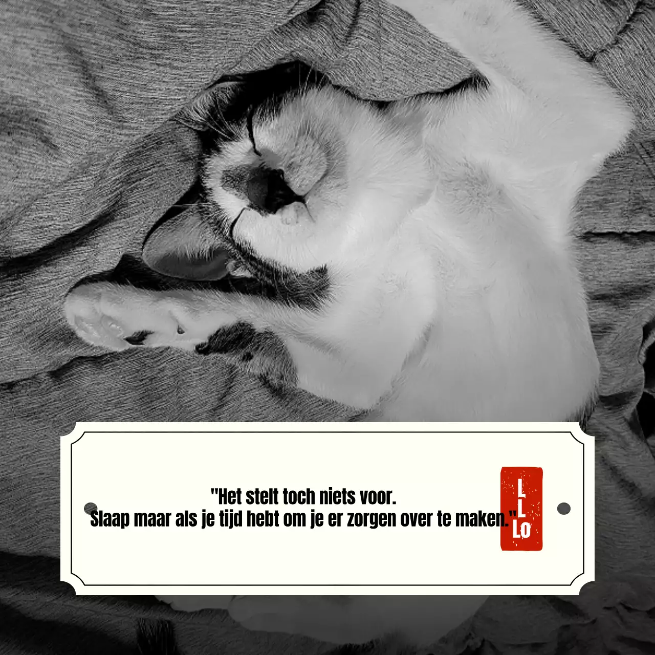 Promoot een B-grade emotioneel citaatconcept met een kattenachtergrond