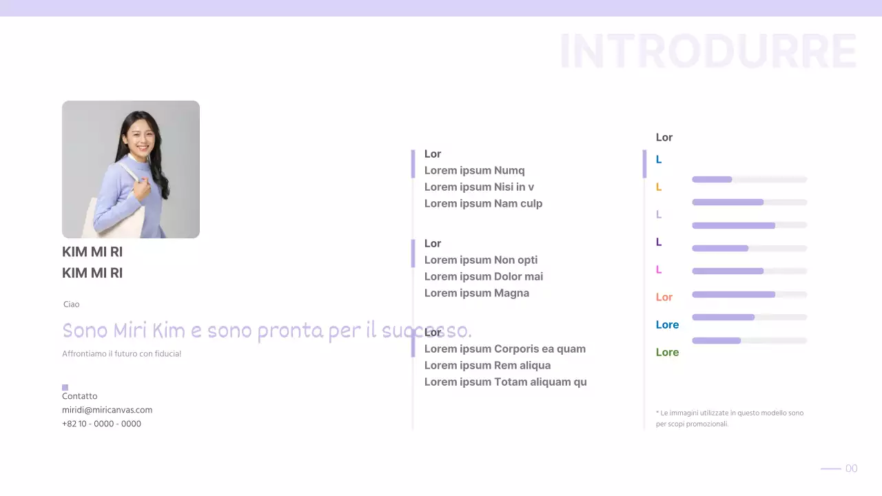 Portafoglio semplice con sfumatura malva