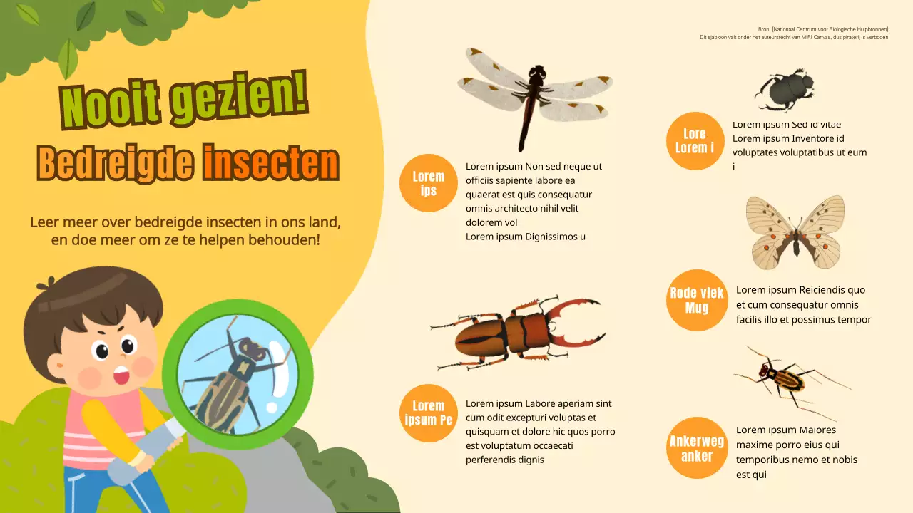 Infographic bedreigde insecten van Yellow Yellow