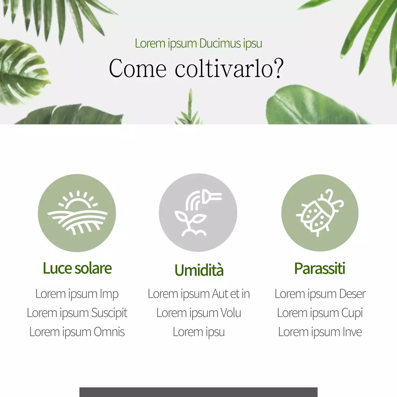 Animali domestici che catturano le polveri sottili