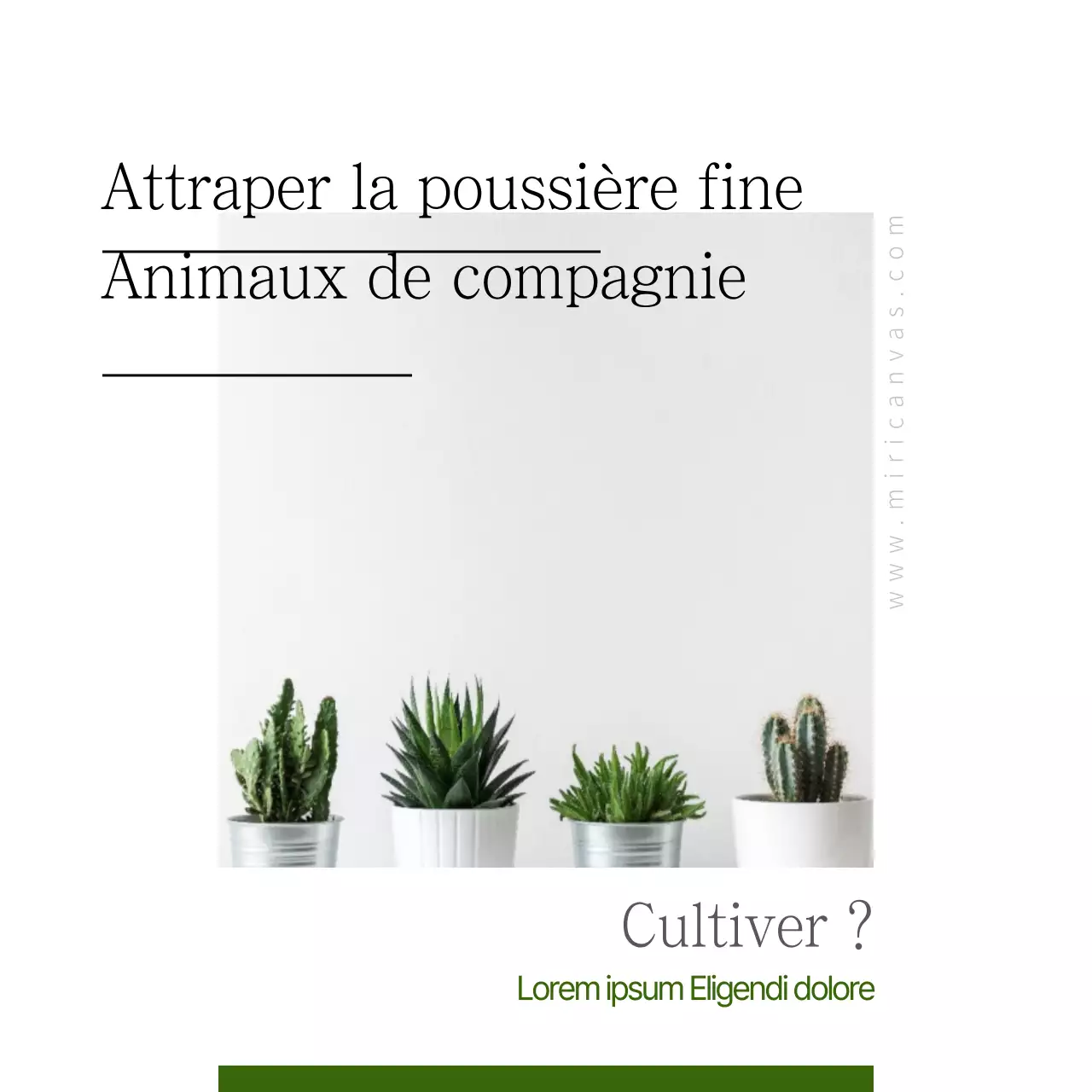 Les animaux domestiques qui attrapent les poussières fines