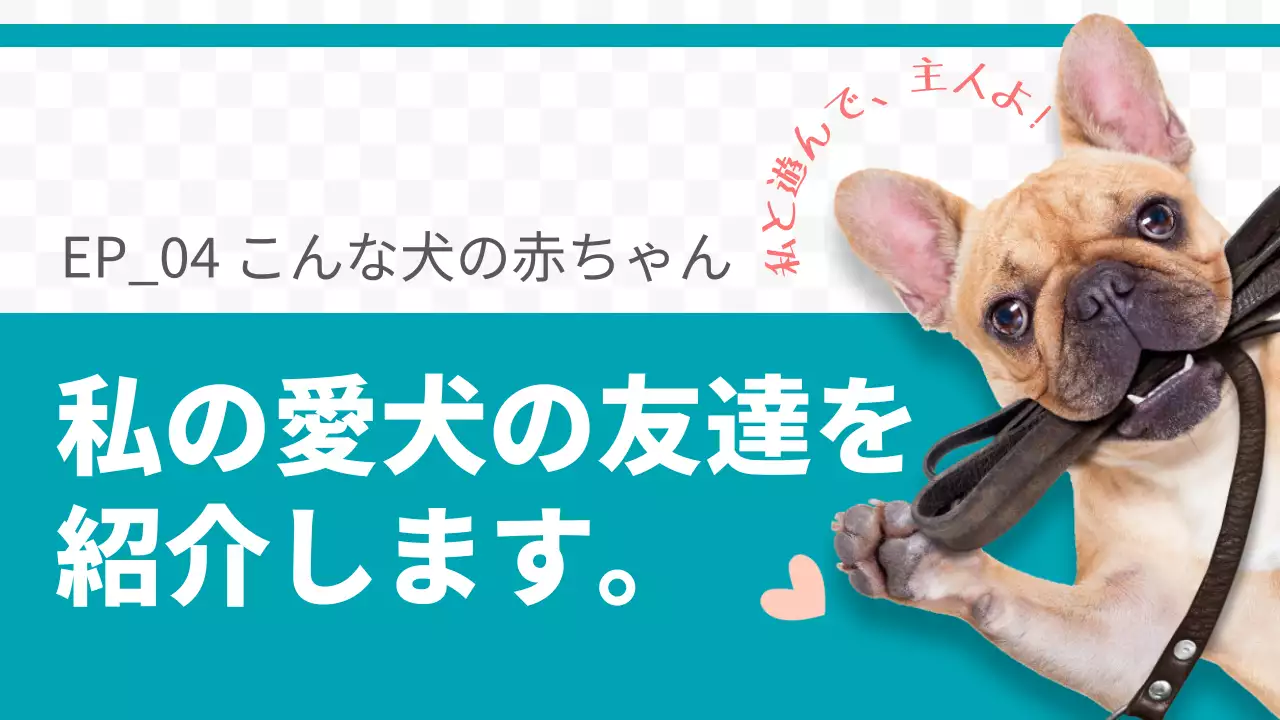 愛犬チャンネル