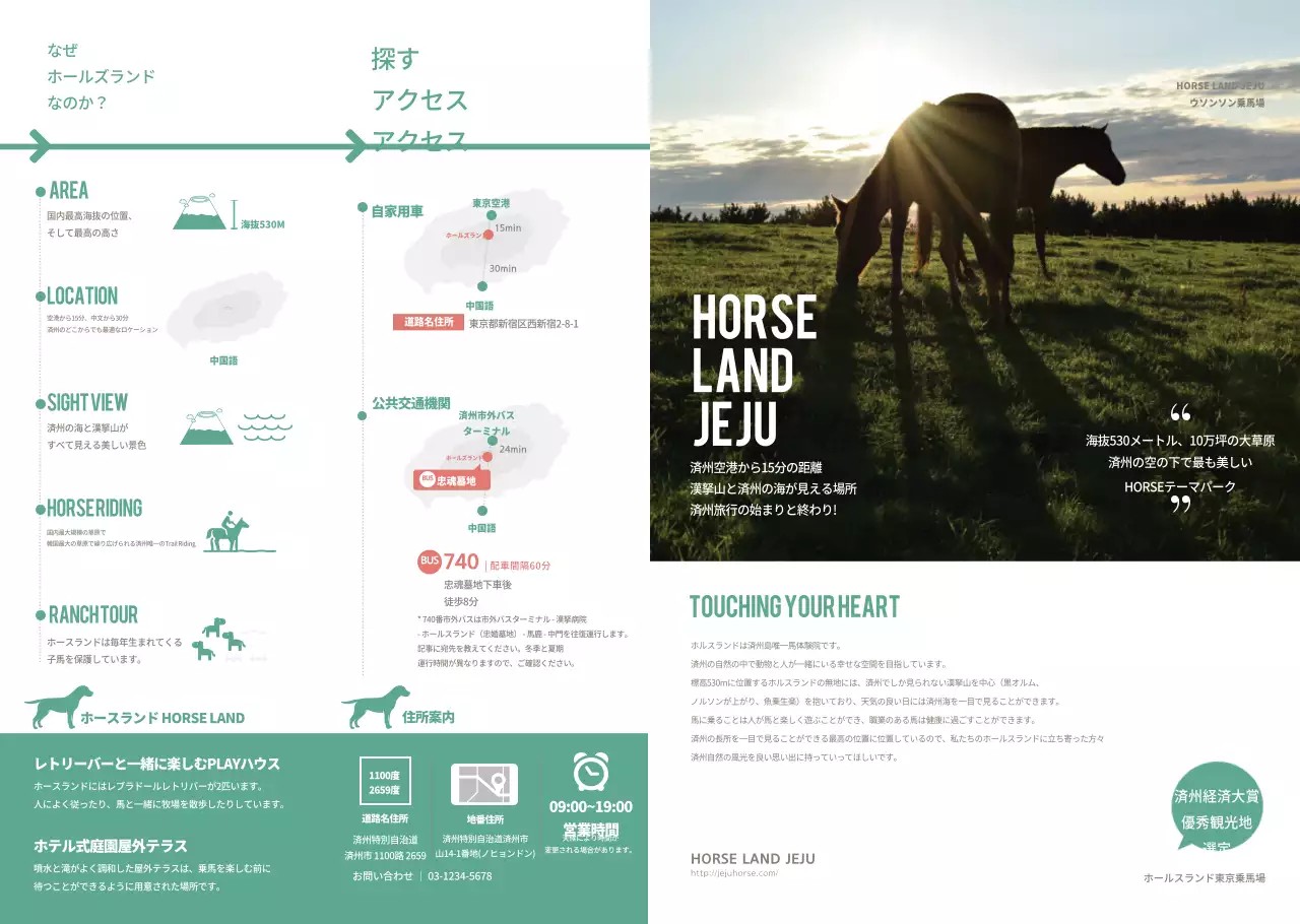 済州島乗馬