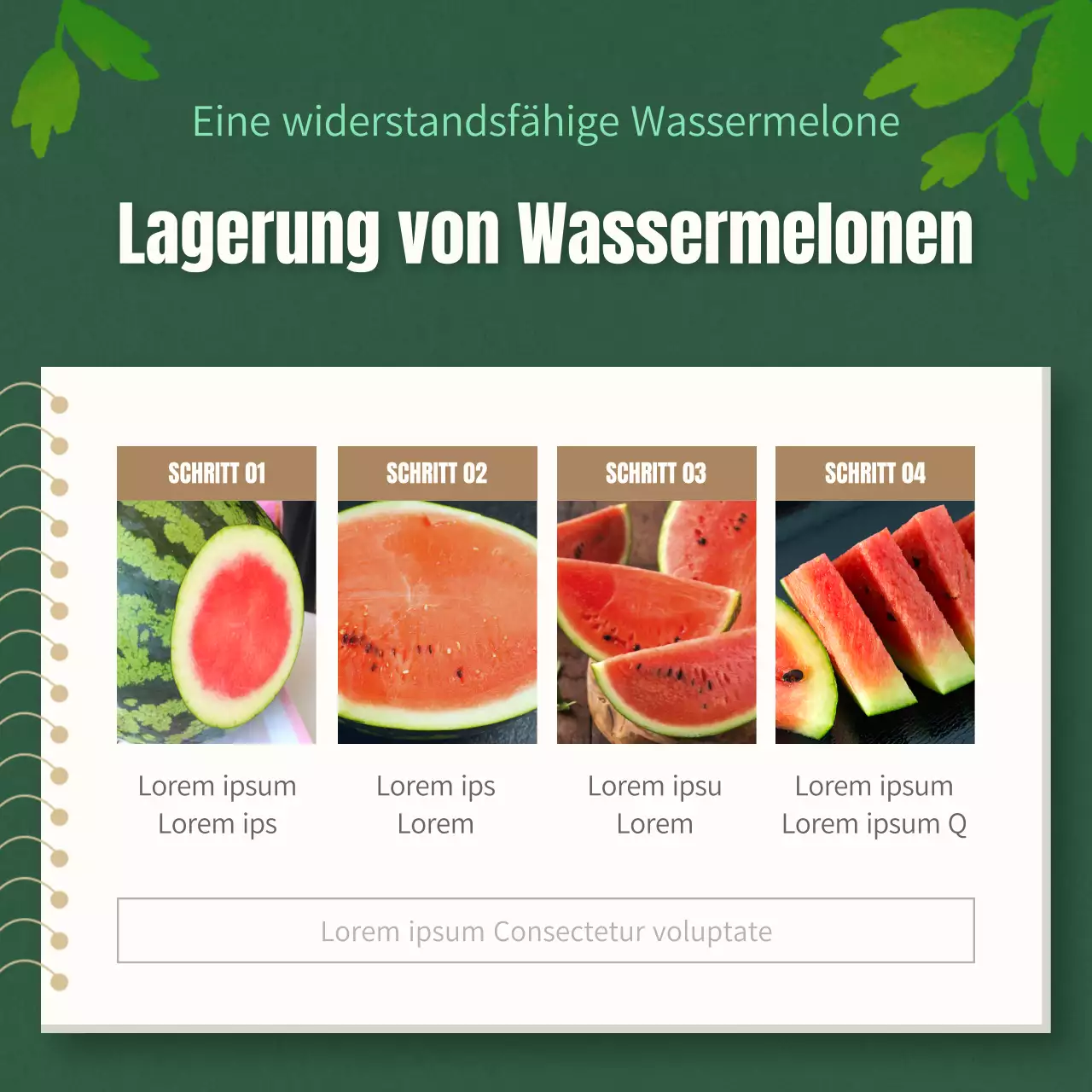 Tipps für die Auswahl einer tropischen roten und grünen Wassermelone erklärt