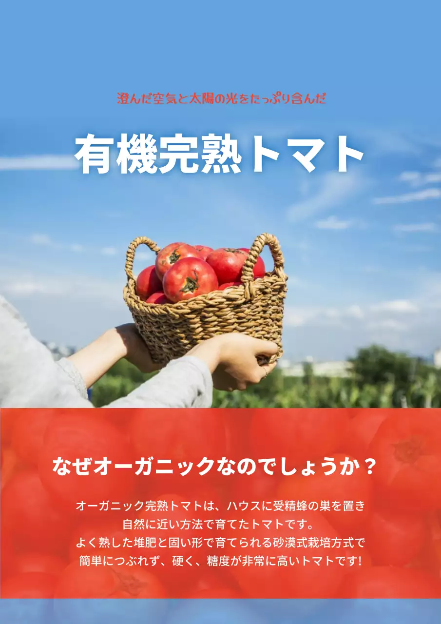 青 シンプル トマト パンフレット 詳細ページ