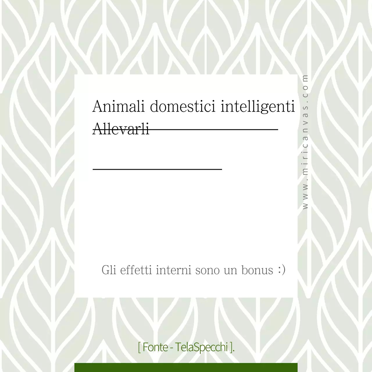 Animali domestici che catturano le polveri sottili