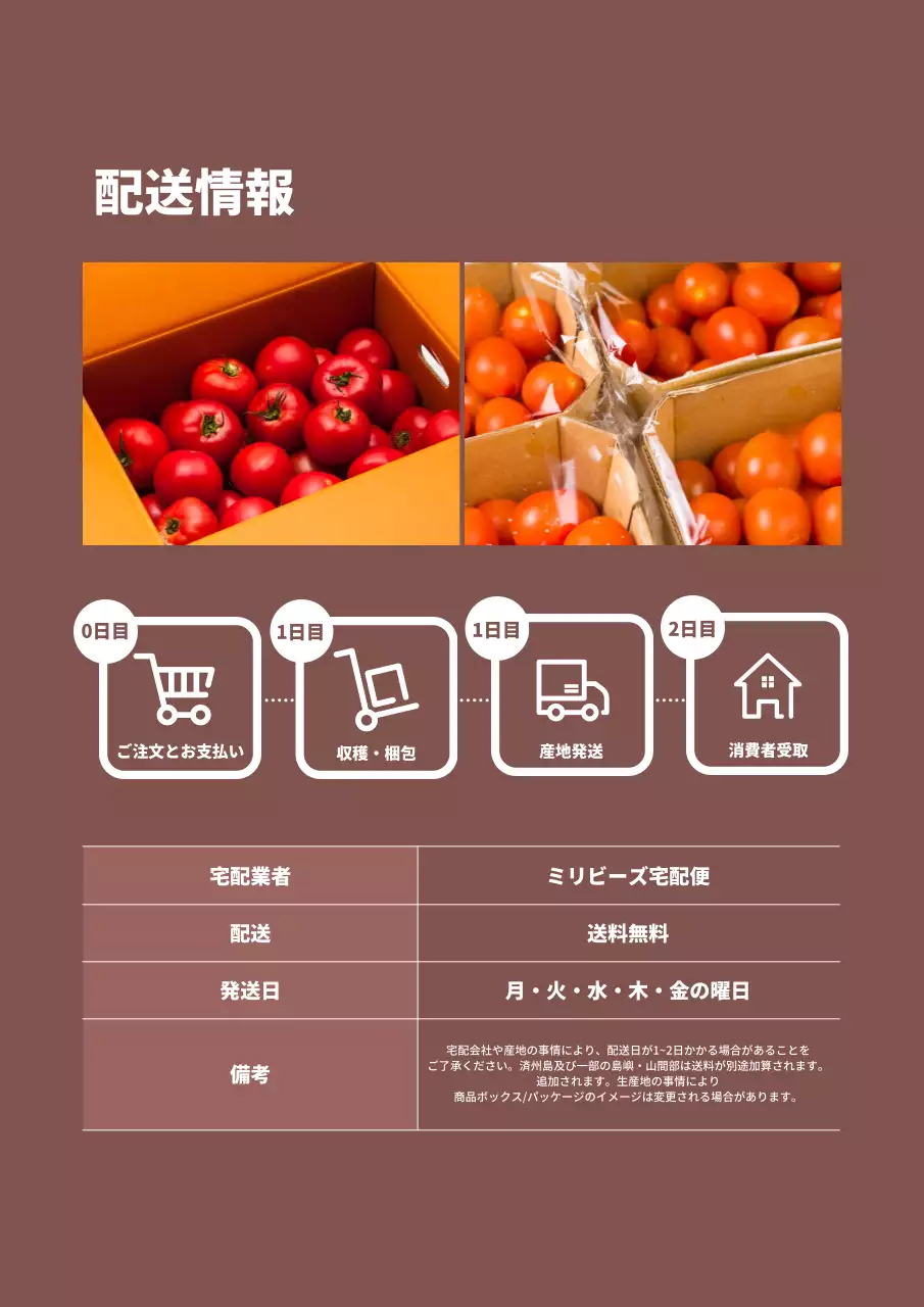 青 シンプル トマト パンフレット 詳細ページ