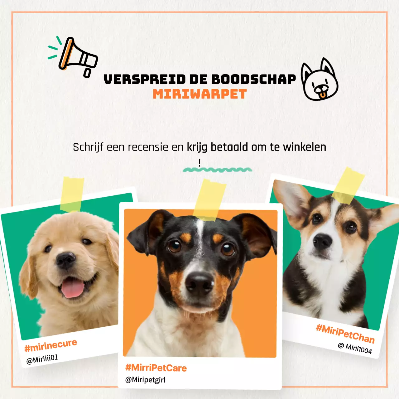 Promoot je oranje, minimalistische marketing voor hondenbenodigdheden