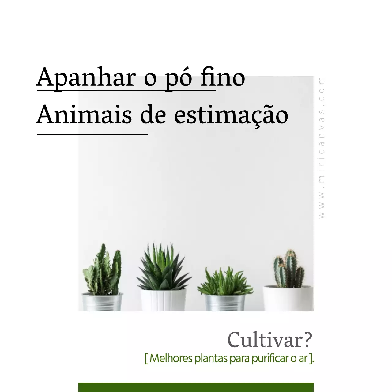 Animais de estimação que apanham poeiras finas