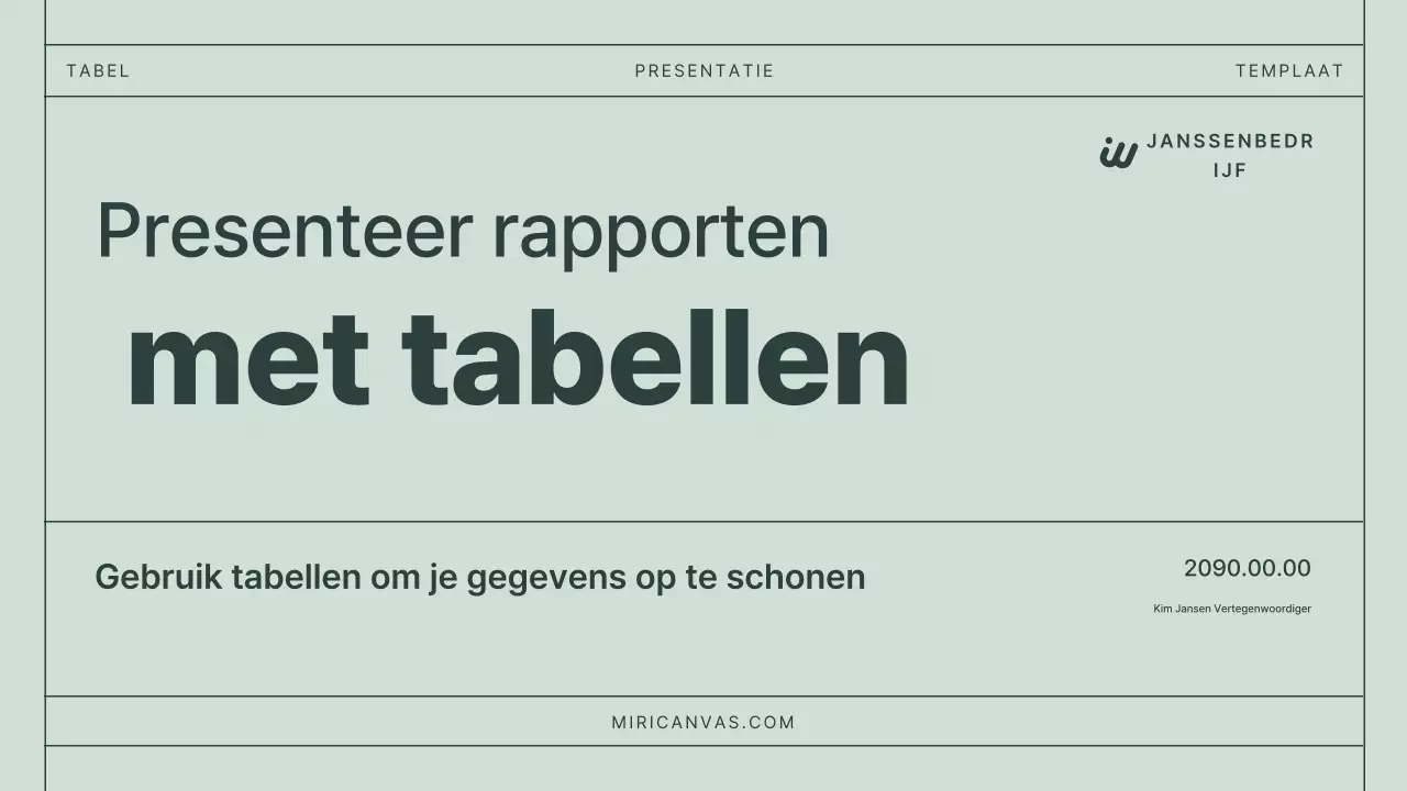 Mint Basisrapporten documentatie