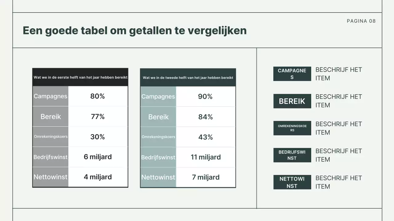 Mint Basisrapporten documentatie