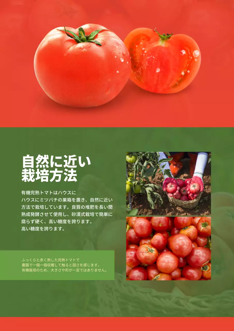 青 シンプル トマト パンフレット 詳細ページ