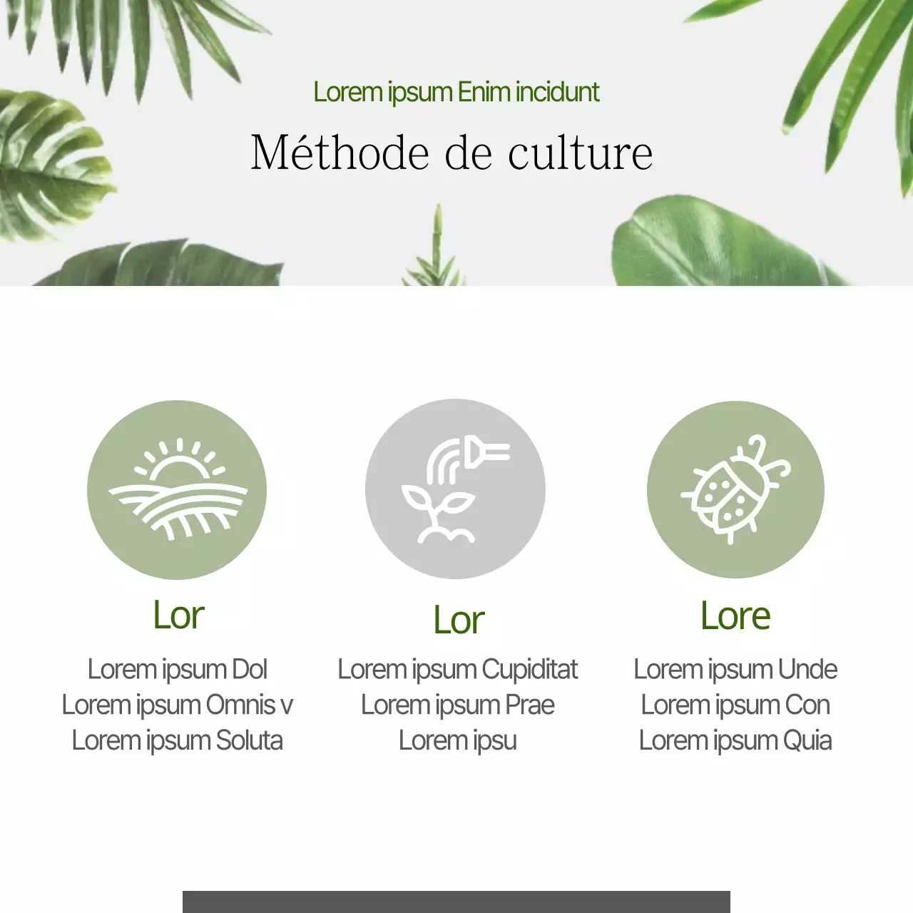 Les animaux domestiques qui attrapent les poussières fines