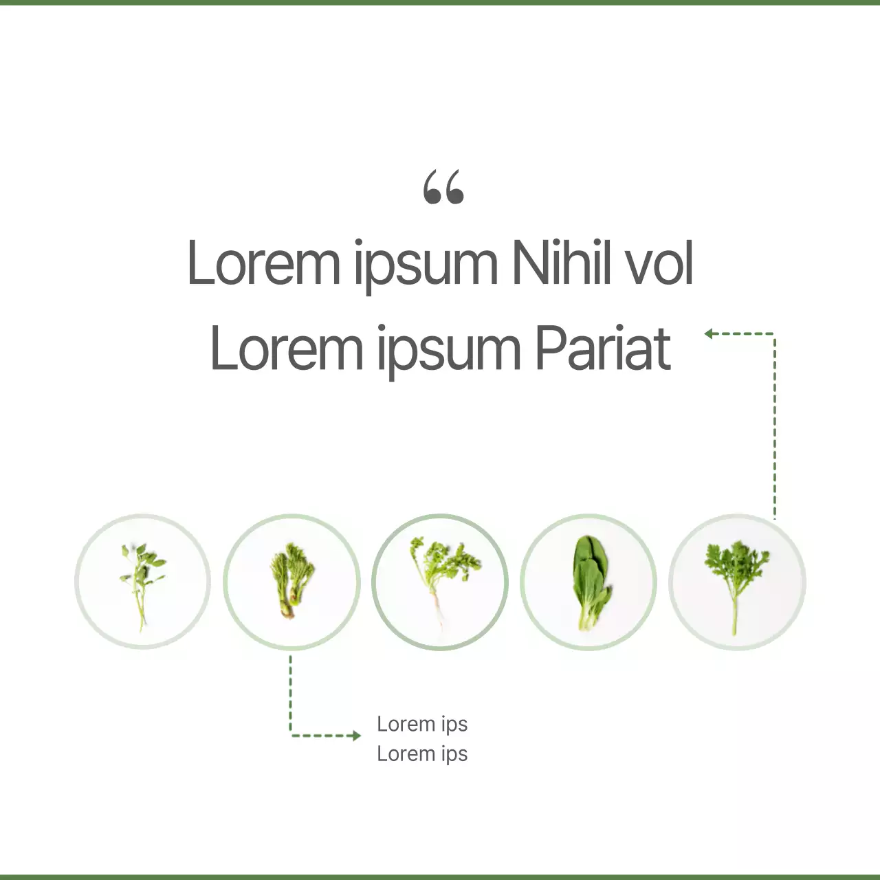 Aliments de saison pour le printemps