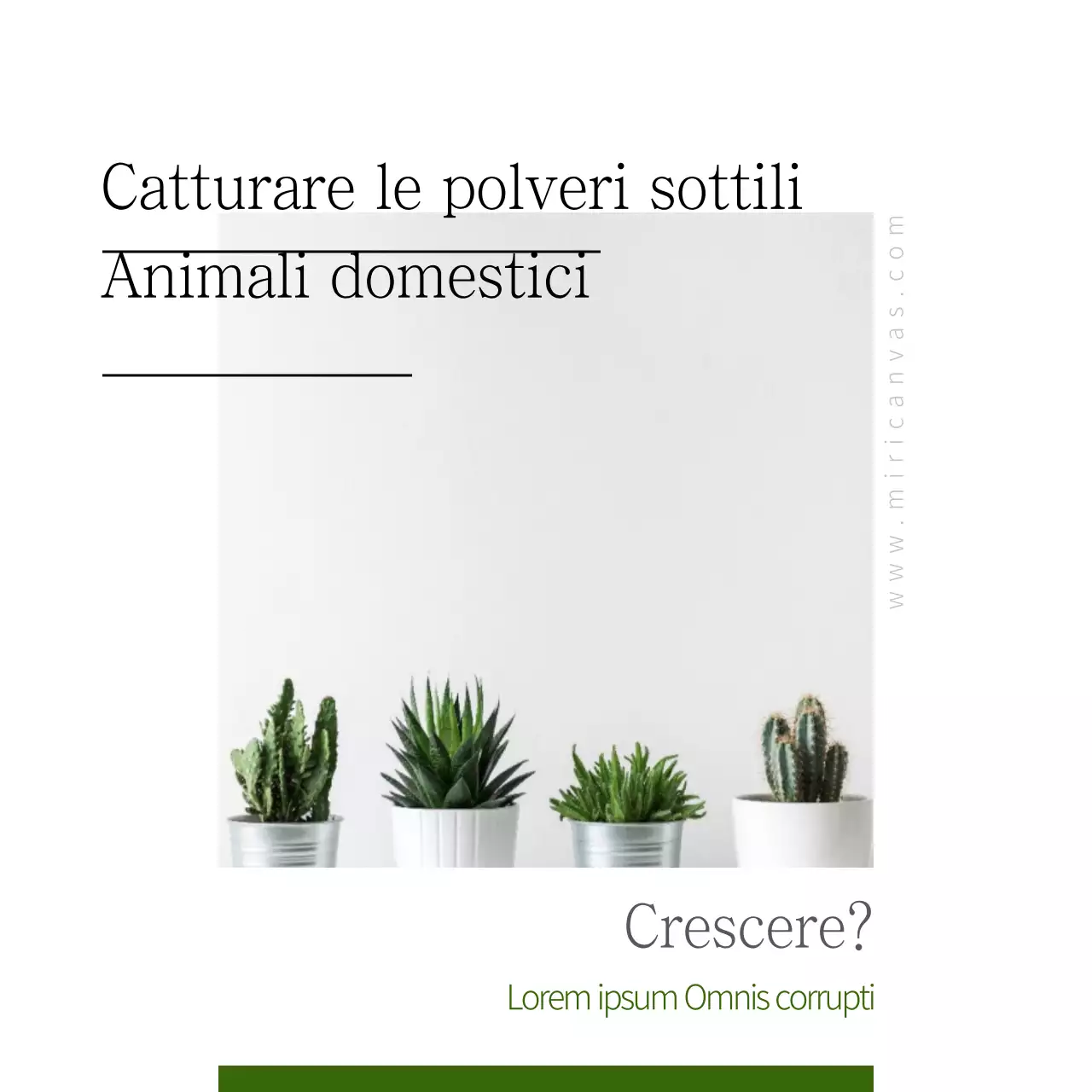 Animali domestici che catturano le polveri sottili