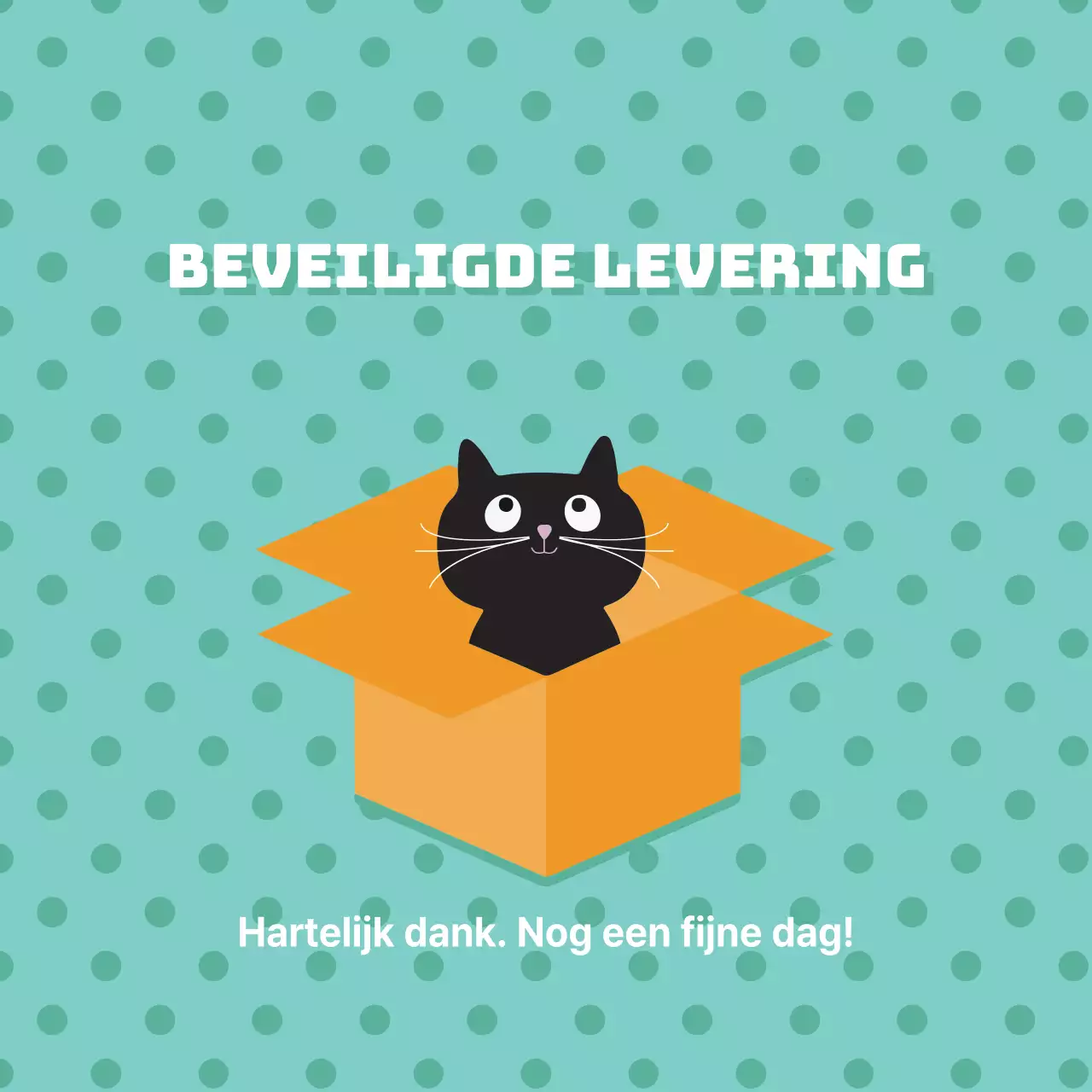 Beveiligde levering