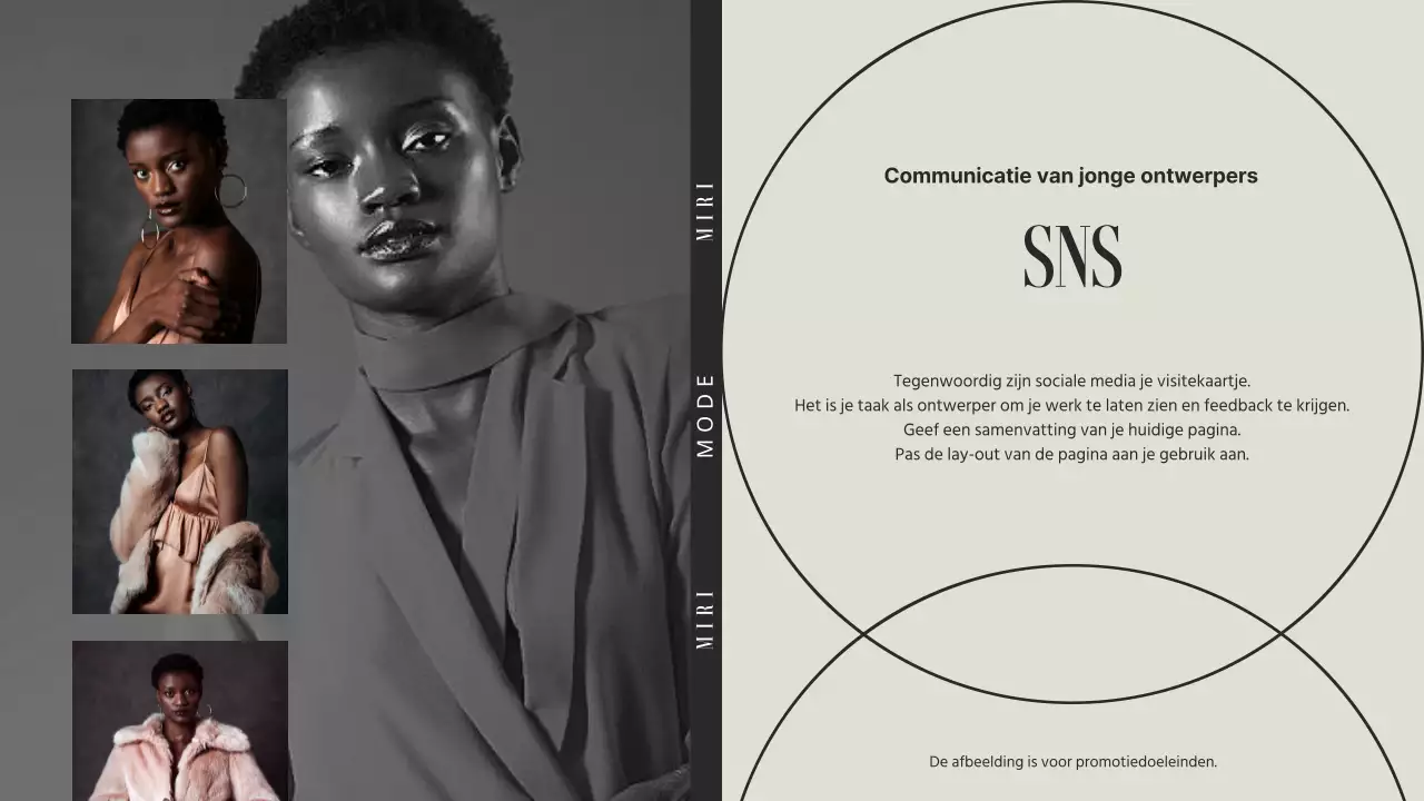 Werkgelegenheidsstrategie mentorschap beige en grijze modebedrijven speciaal lesthema (presentatie)