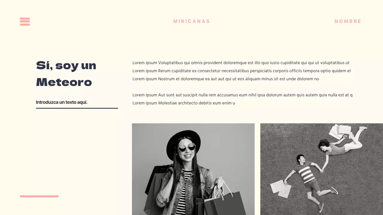 Presentaciones únicas