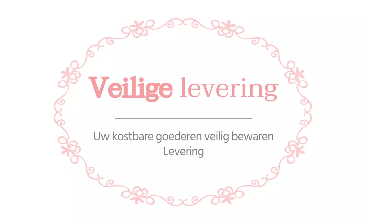 Beveiligde levering