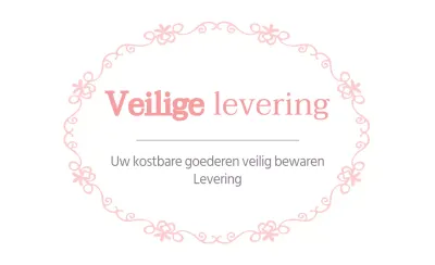 Beveiligde levering