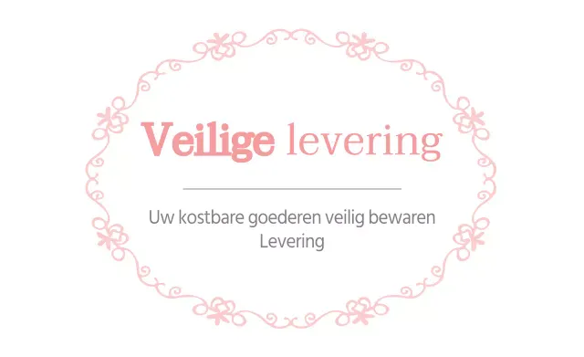 Beveiligde levering