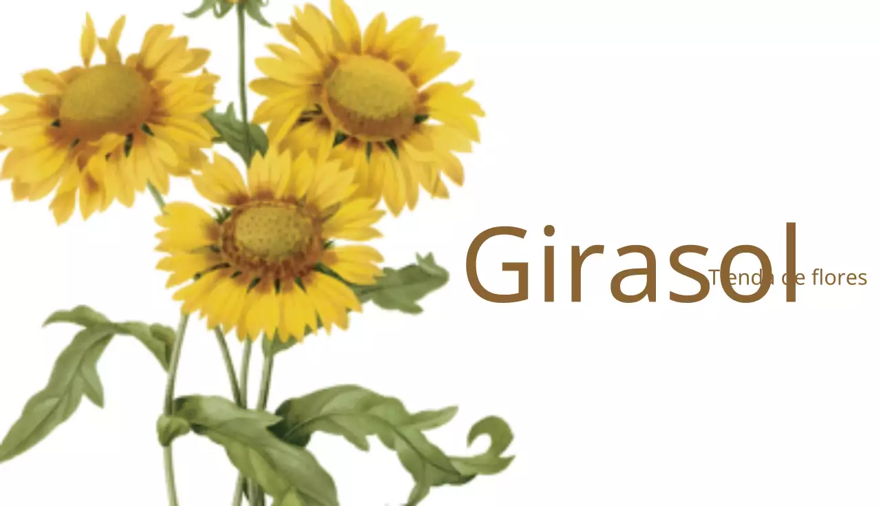 Girasol