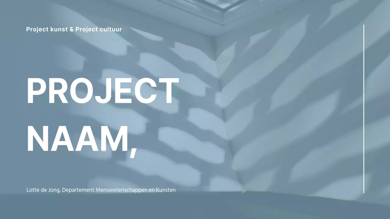 Beknopte presentaties