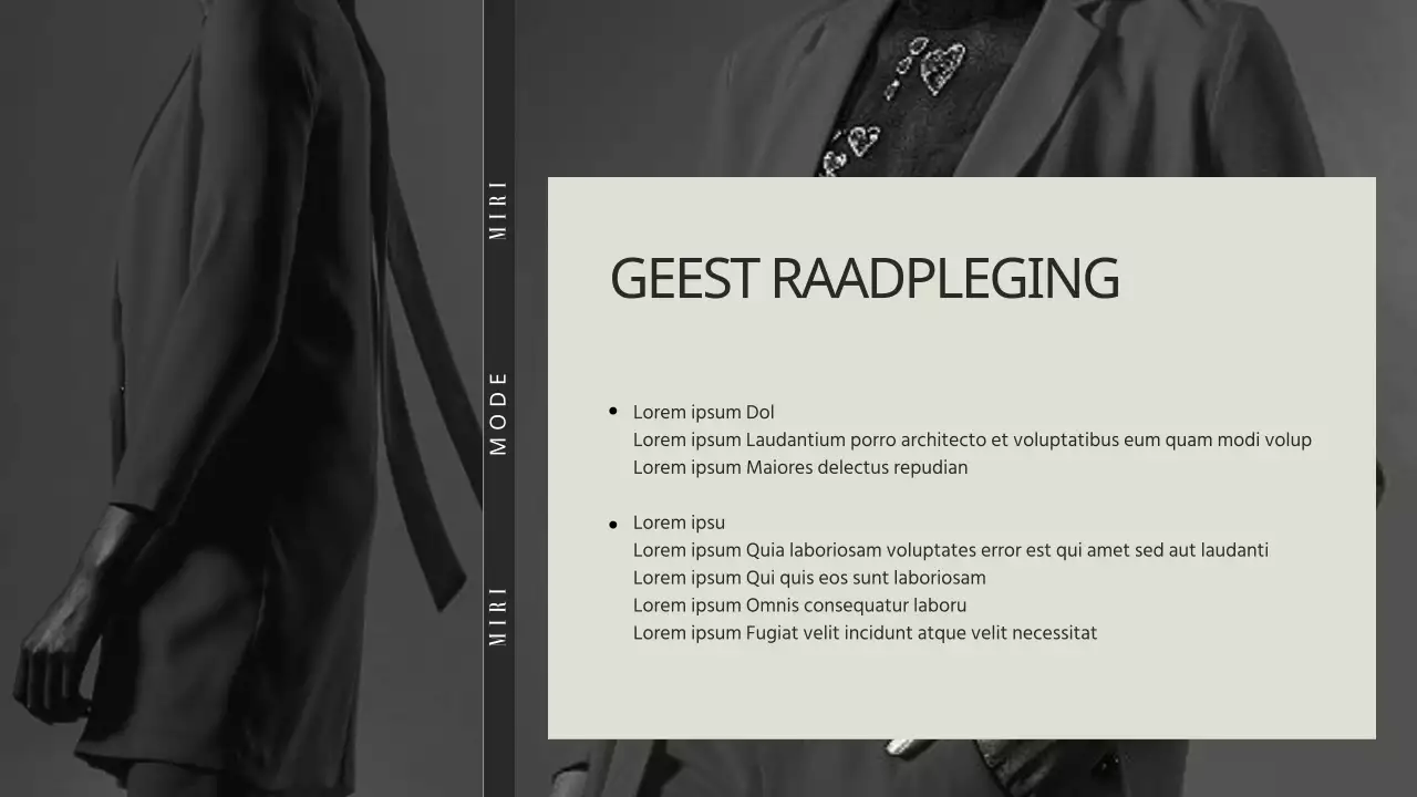 Werkgelegenheidsstrategie mentorschap beige en grijze modebedrijven speciaal lesthema (presentatie)