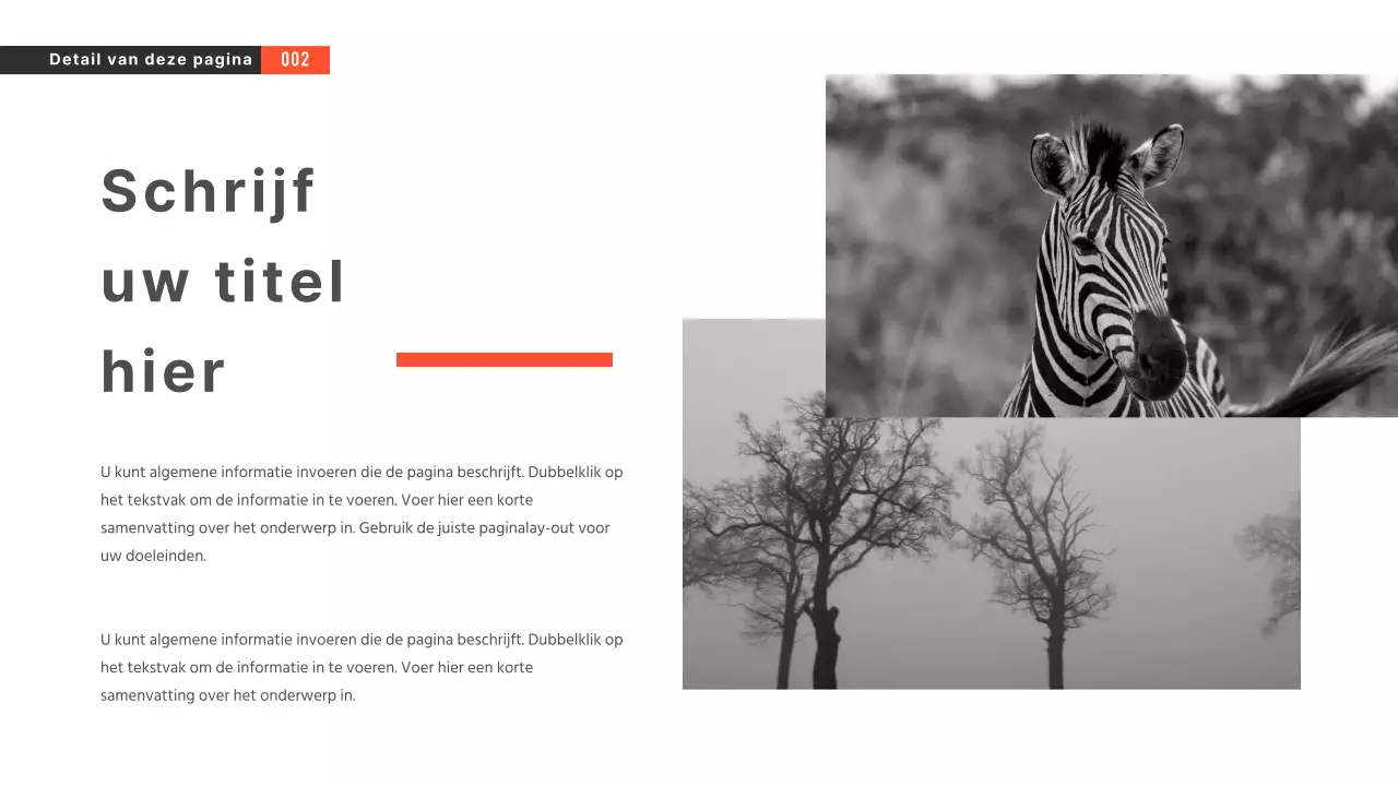 Zwart-wit presentaties