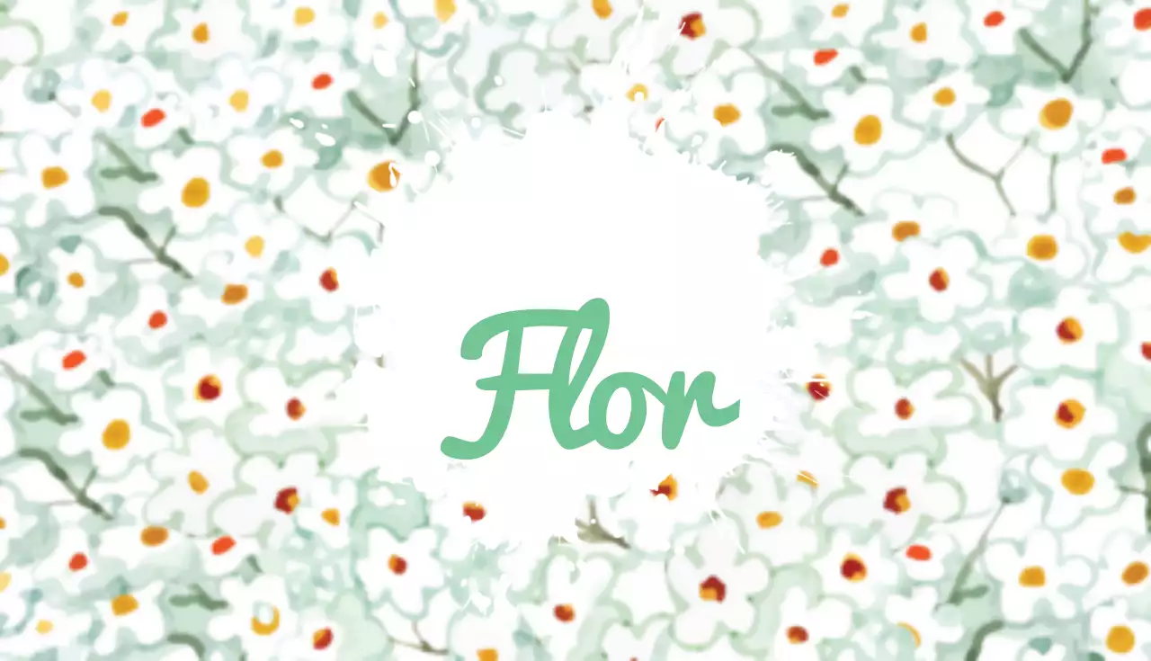 Florista