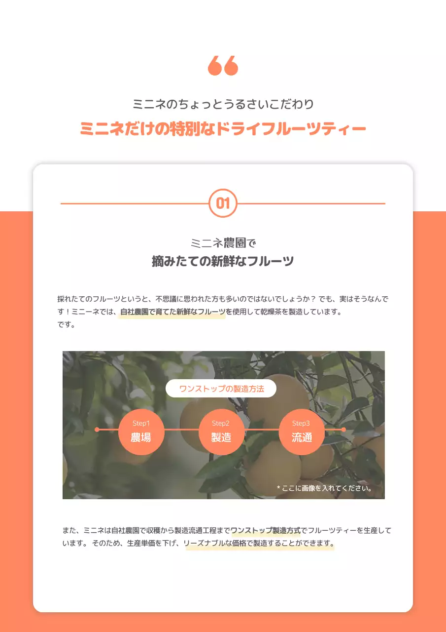 オレンジ ポップ ドライフルーツ パンフレット 詳細ページ