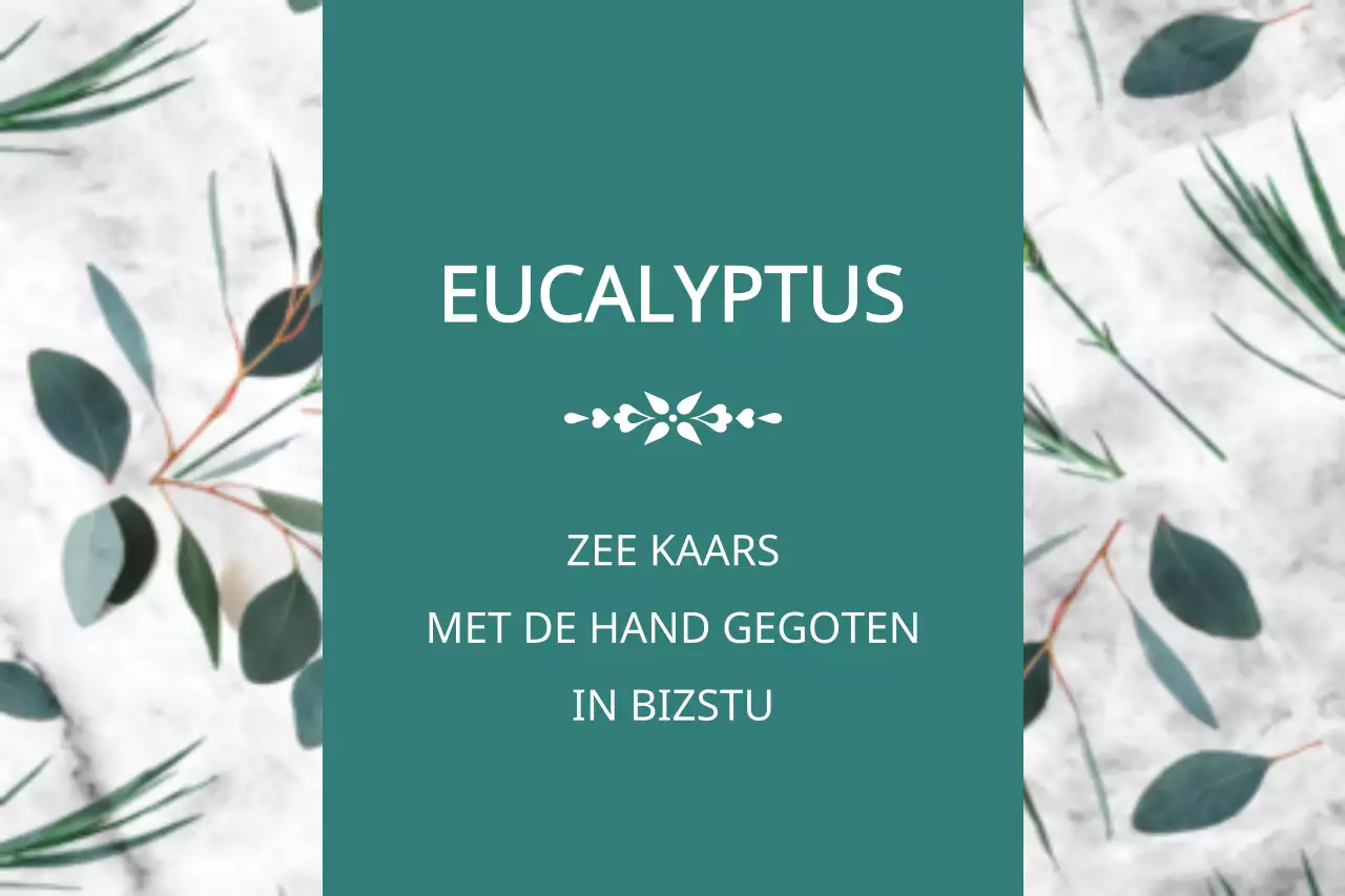 Eucalyptus