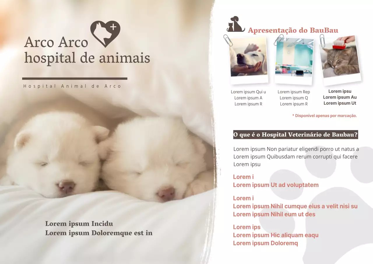 Clínicas veterinárias