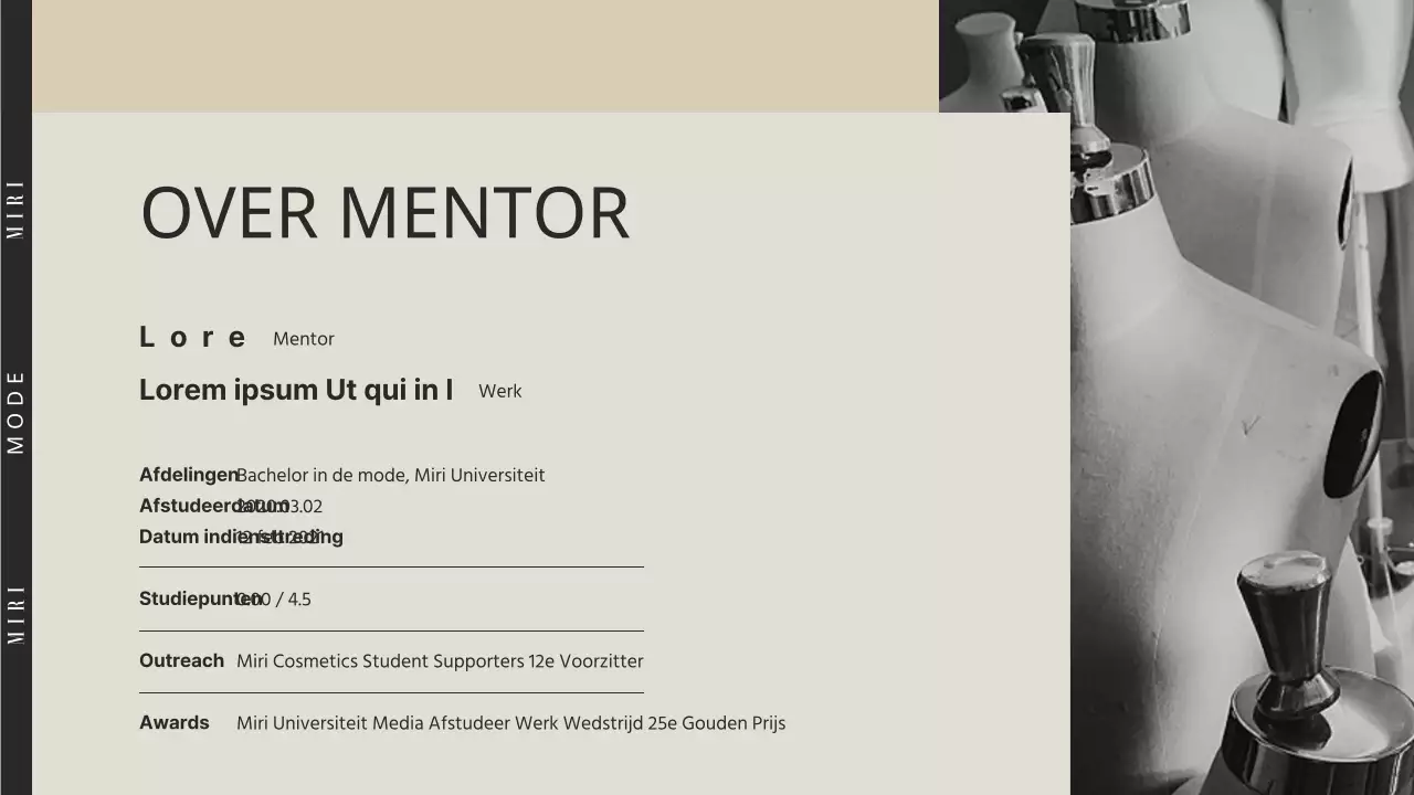 Werkgelegenheidsstrategie mentorschap beige en grijze modebedrijven speciaal lesthema (presentatie)