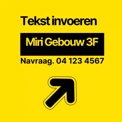 41572_TekstInvoer