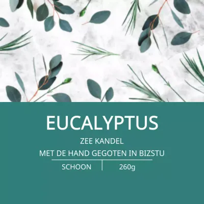 Eucalyptus Kaars