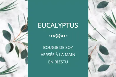 Eucalyptus