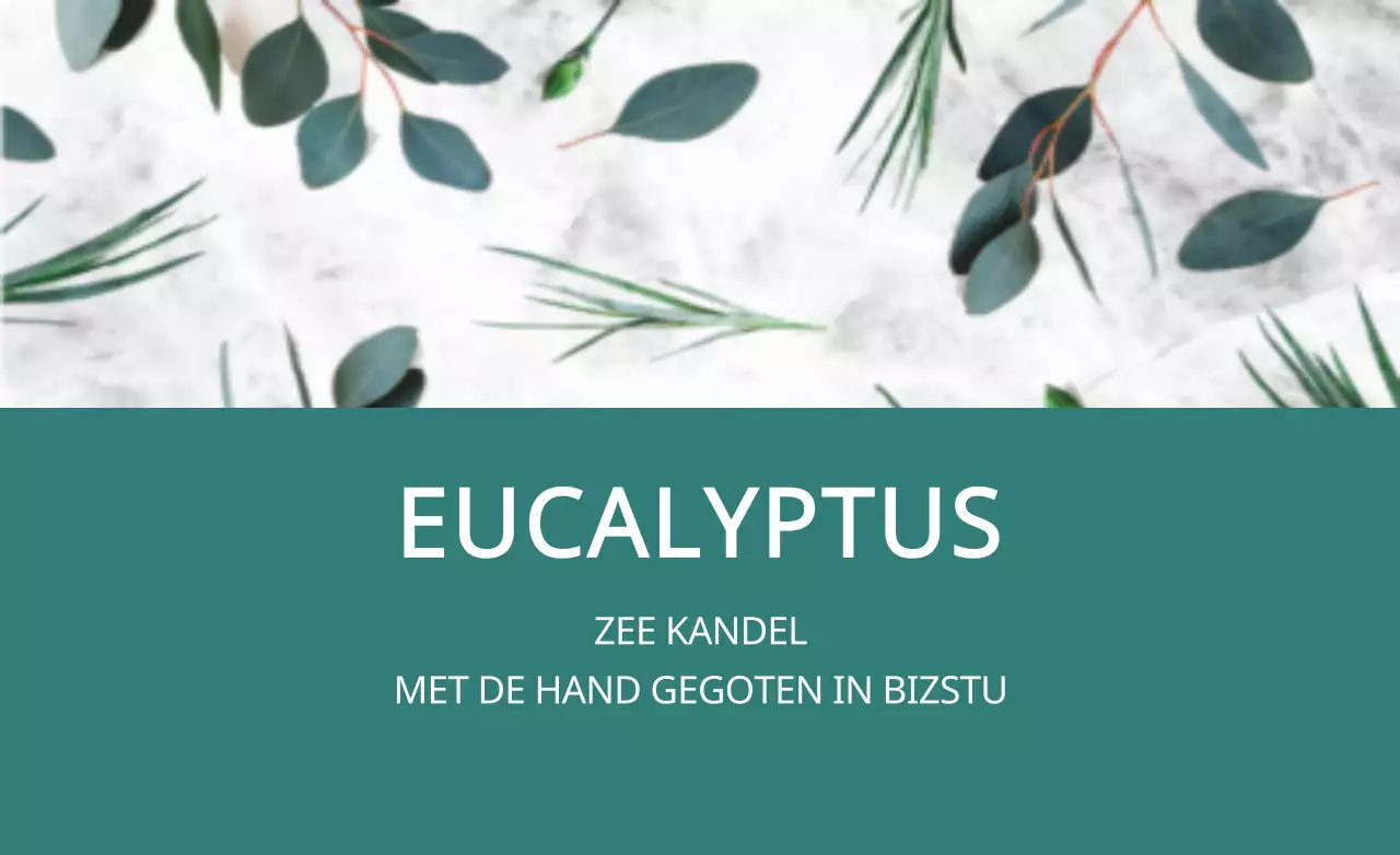 Eucalyptus