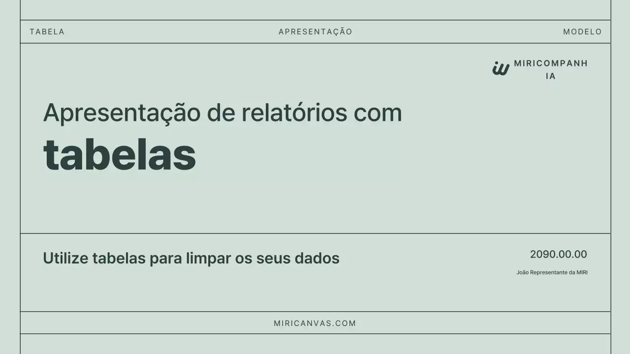 Documentação dos relatórios básicos do Mint