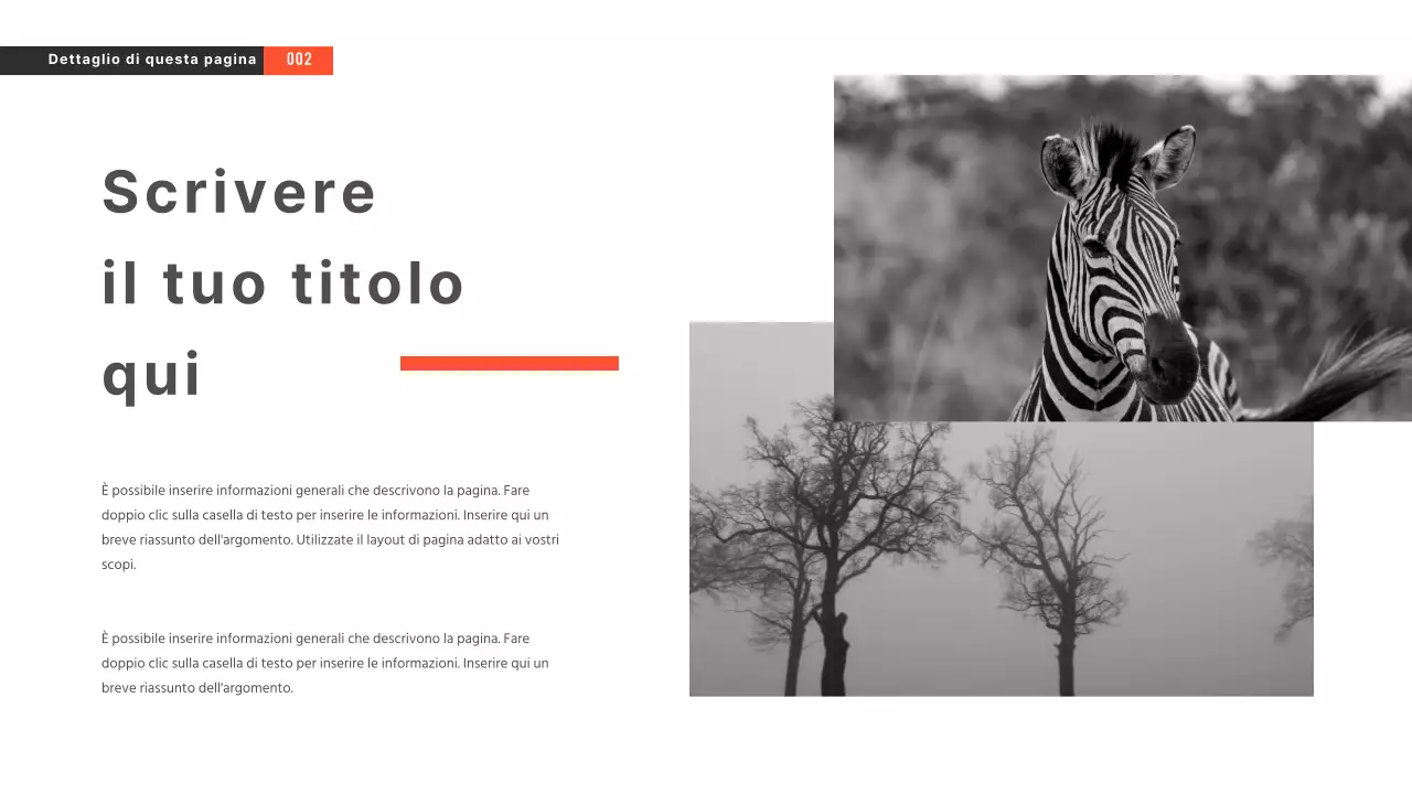 Presentazioni in bianco e nero