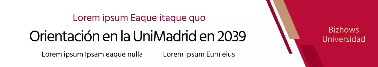 Banner del taller (horizontal)