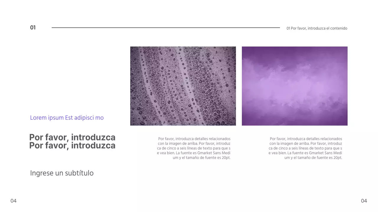 Presentación del arándano